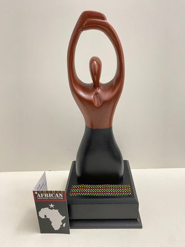 MultiCultural Award - Pillar of Excellence2 (OHEMAA)