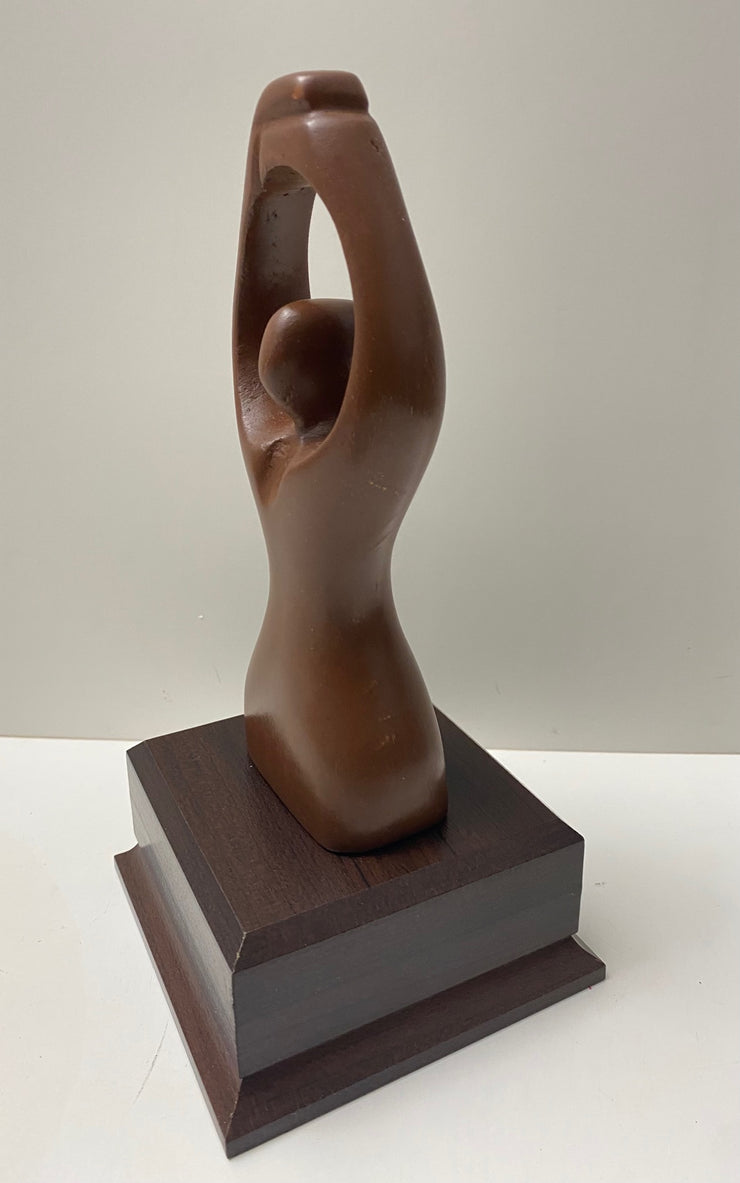 MultiCultural Award - Pillar of Excellence (Mini)