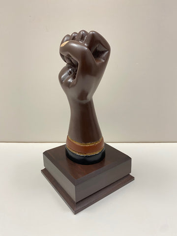 Multicultural Force For Good & Justice Award
