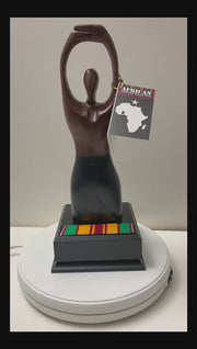 MultiCultural Award - Pillar of Excellence2 (OHEMAA)