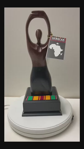 MultiCultural Award - Pillar of Excellence2 (OHEMAA)