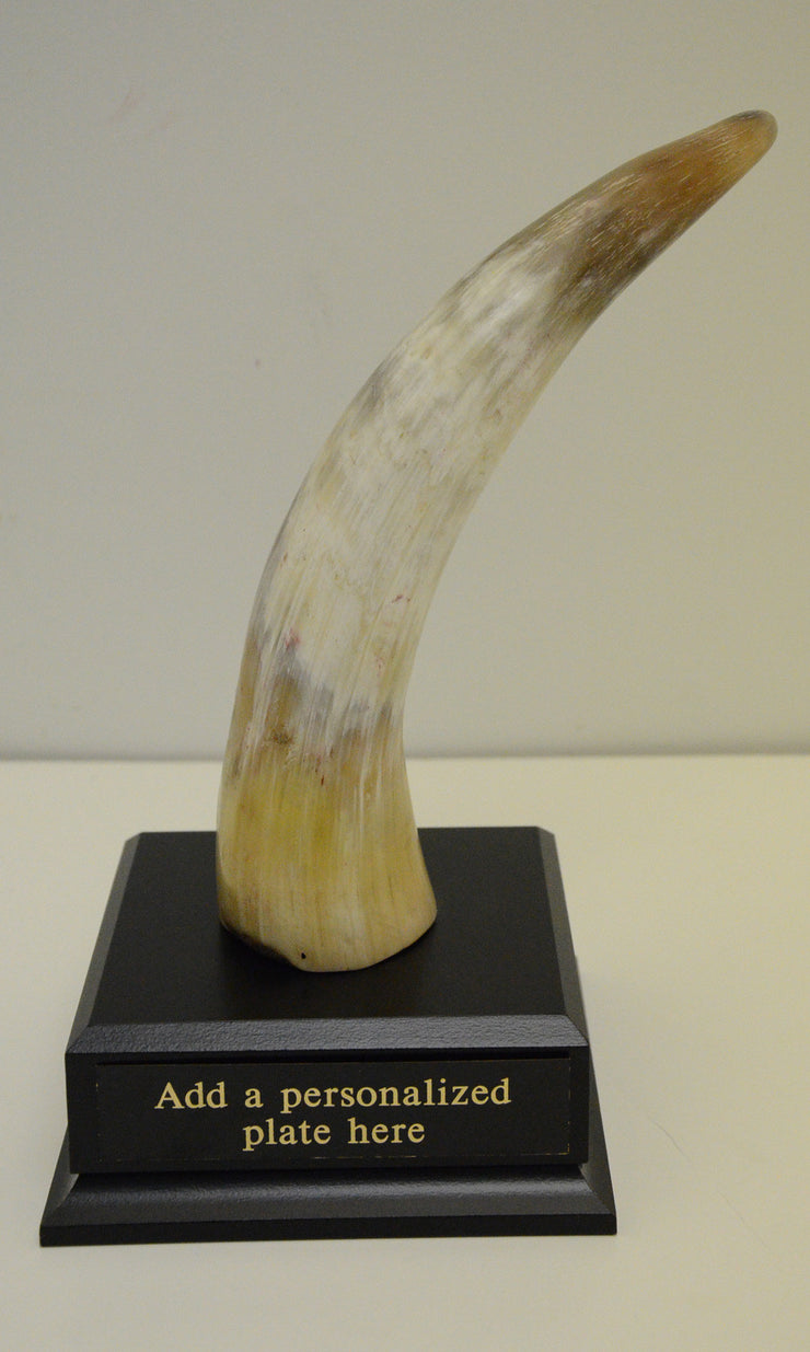 Rock of Excellence Award