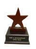 Shining Star Award