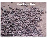 Shea Butter Raw Unrefined - Ivory